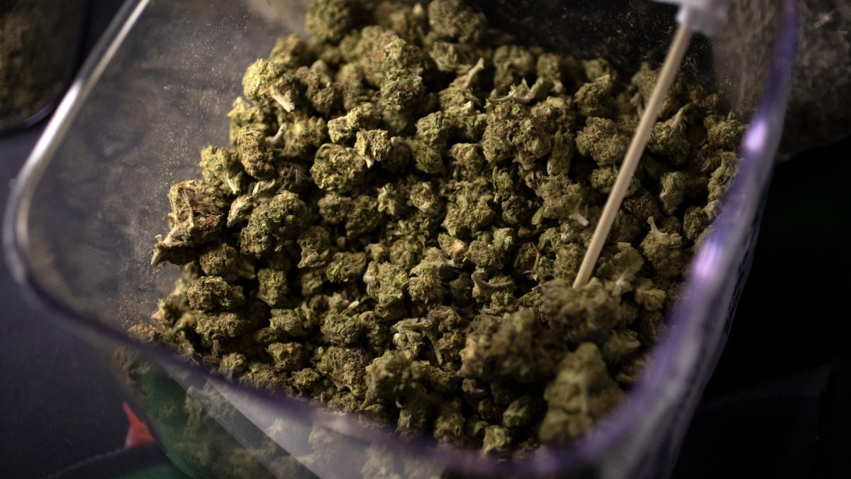 Pa. marijuana legalization bill dies in committee in Harrisburg – NBC10 Philadelphia