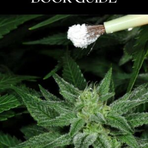 cannabis growing book