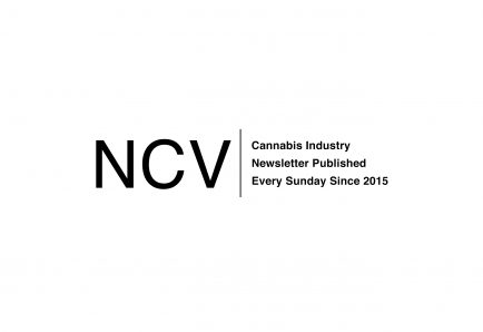 A Look at the Cannabis Stock Winners and Losers – New Cannabis Ventures