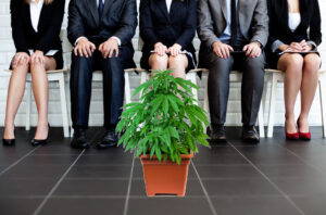 US Cannabis Jobs To Reach 800,000 by 2029 Despite Salary Reductions Says New Employment Report