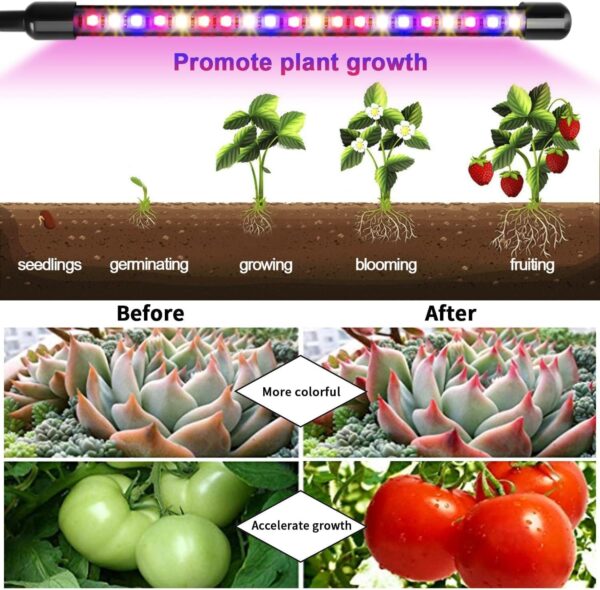 Garpsen Grow Lights for Indoor Plants, 2PCS 2 Heads Full Spectrum Led Grow Lights for Seed Starting, 80 LEDs Plant Grow Light, with Auto ON/Off 6/12/16H Timer, 5 Dimmable Levels (460nm/660nm/3000K) - Image 7