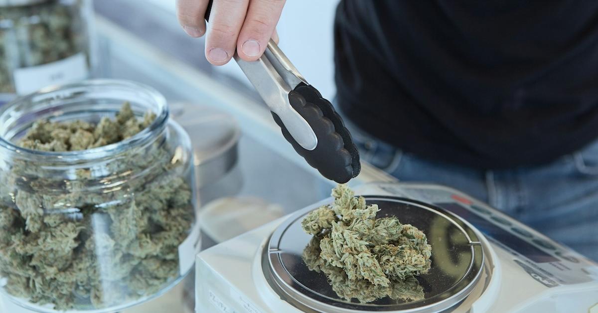Cannabis Businesses Embracing Employee Ownership Amid Tax Burdens