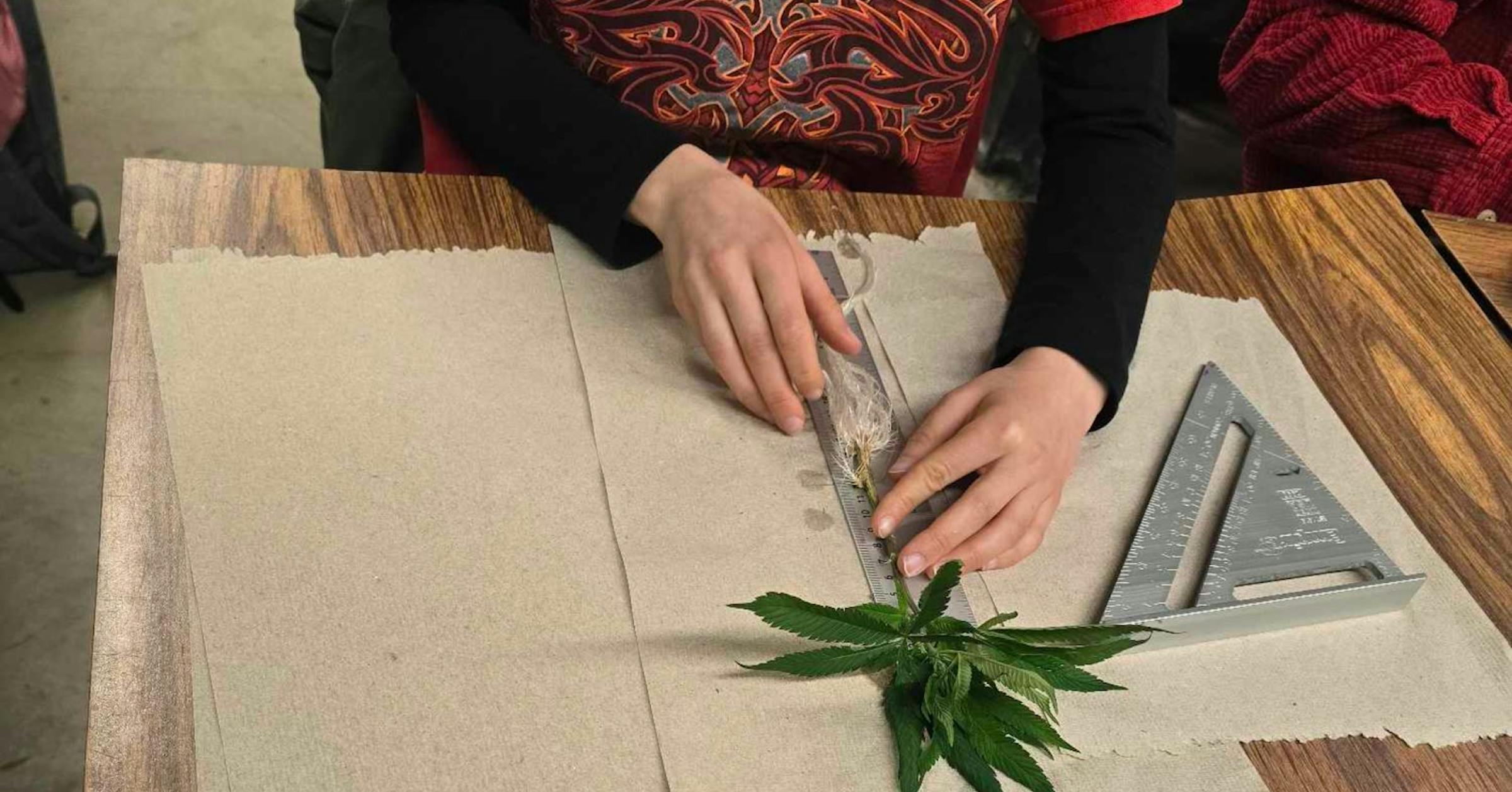 Blazing new trails in cannabis research and education