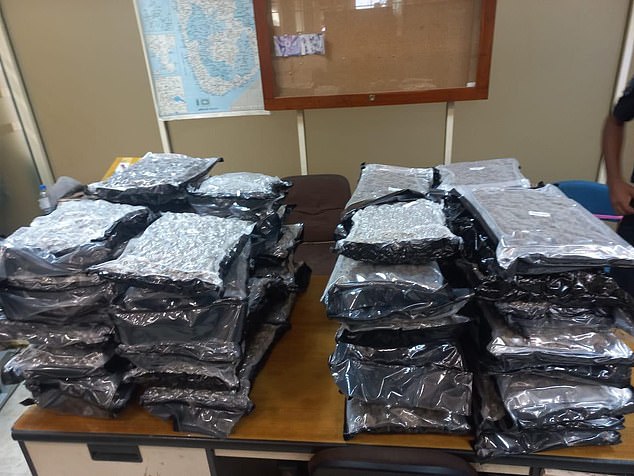 Revealed: The £1.15million stash of cannabis British air stewardess, 21, is accused of bringing into Sri Lanka in her luggage