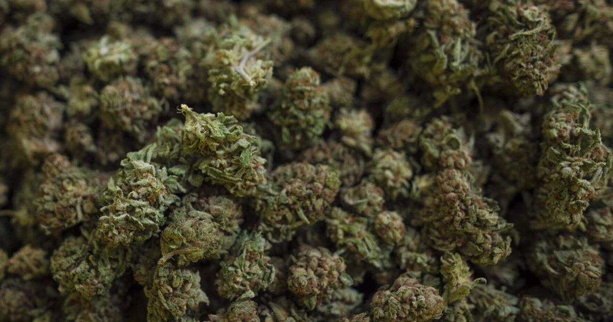 How Canada’s cannabis is tied to a global smuggling epidemic