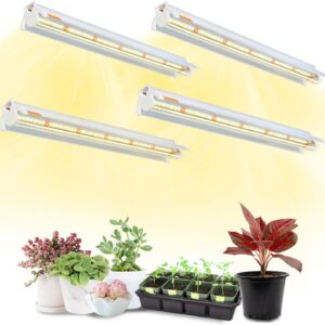 cannabis growing lights