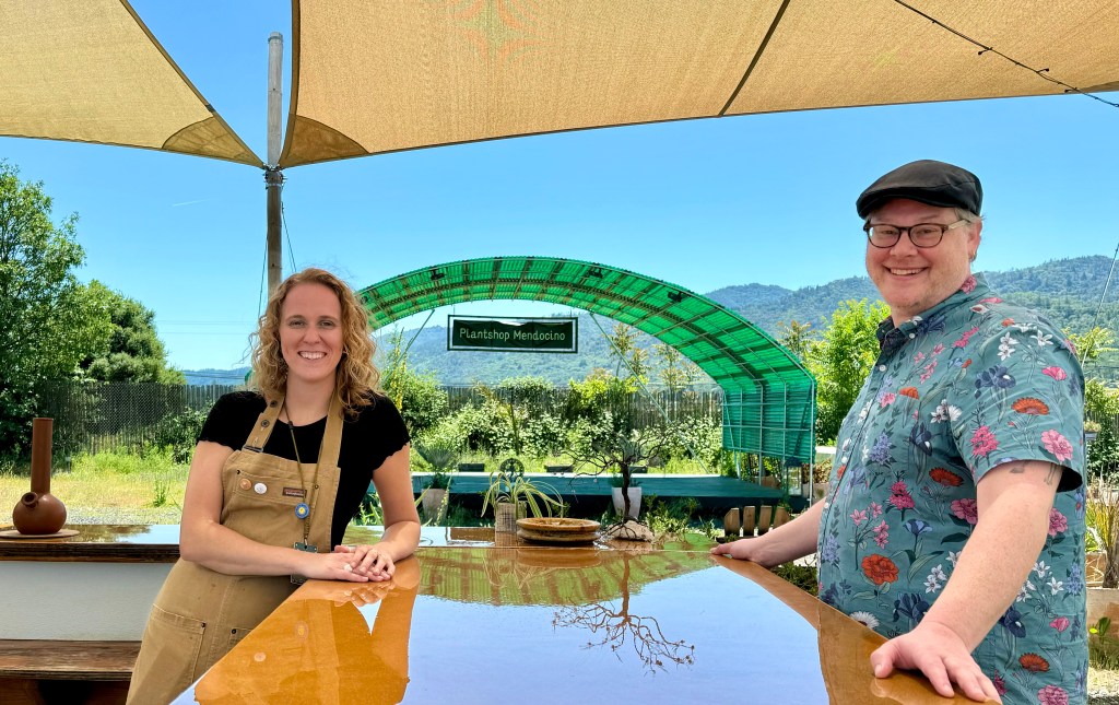 Cannabis classical festival returns to Ukiah for second year – The Ukiah Daily Journal