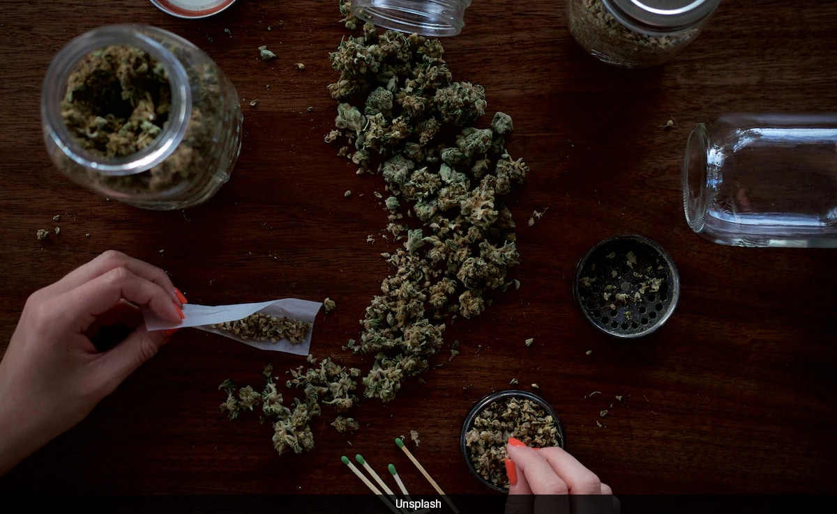 Examining The Role Of Medicinal Cannabis