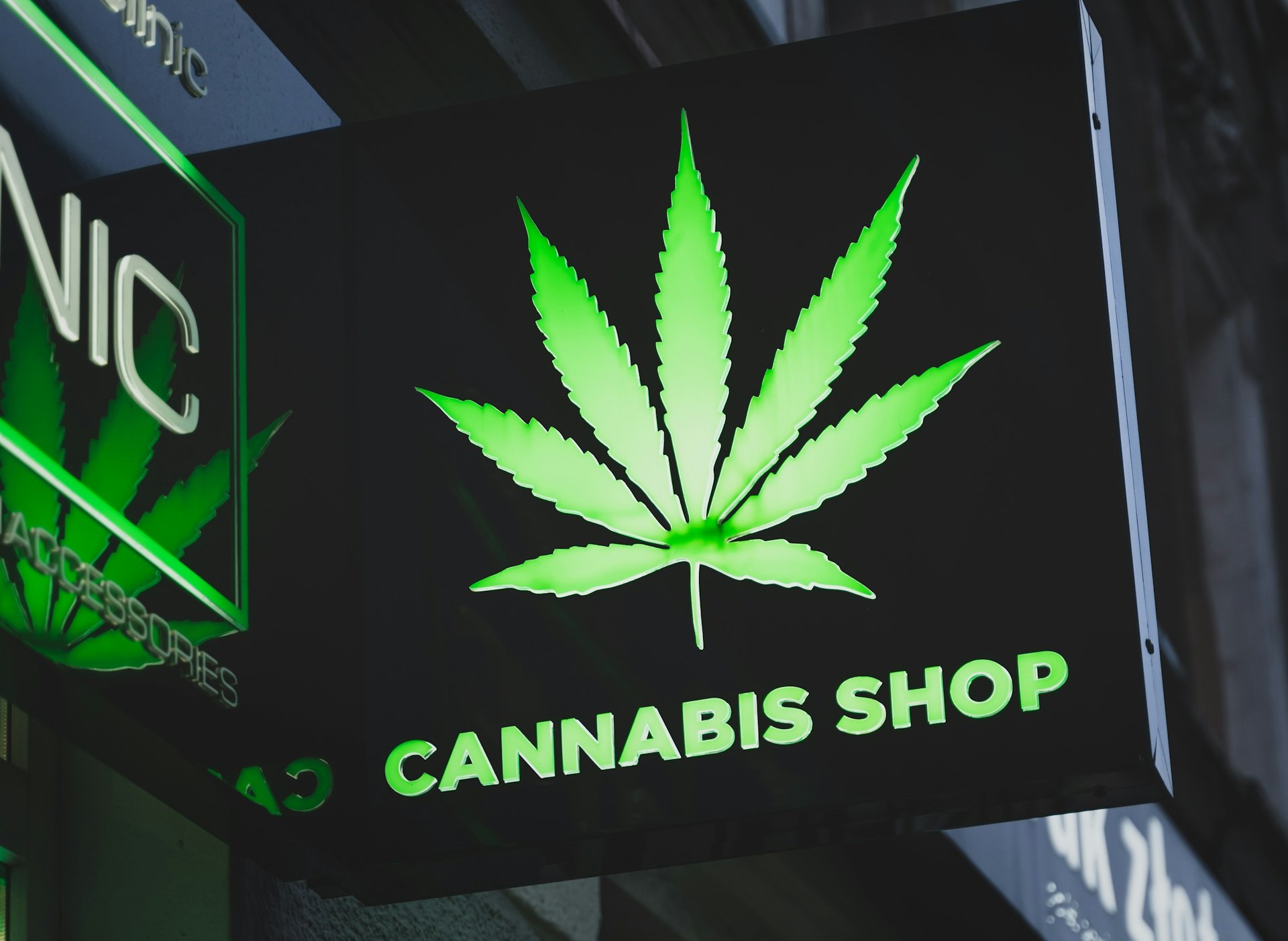Blunt Truth - Cannabis Job Fair In Detroit Offers Fast Hiring And New Careers This June