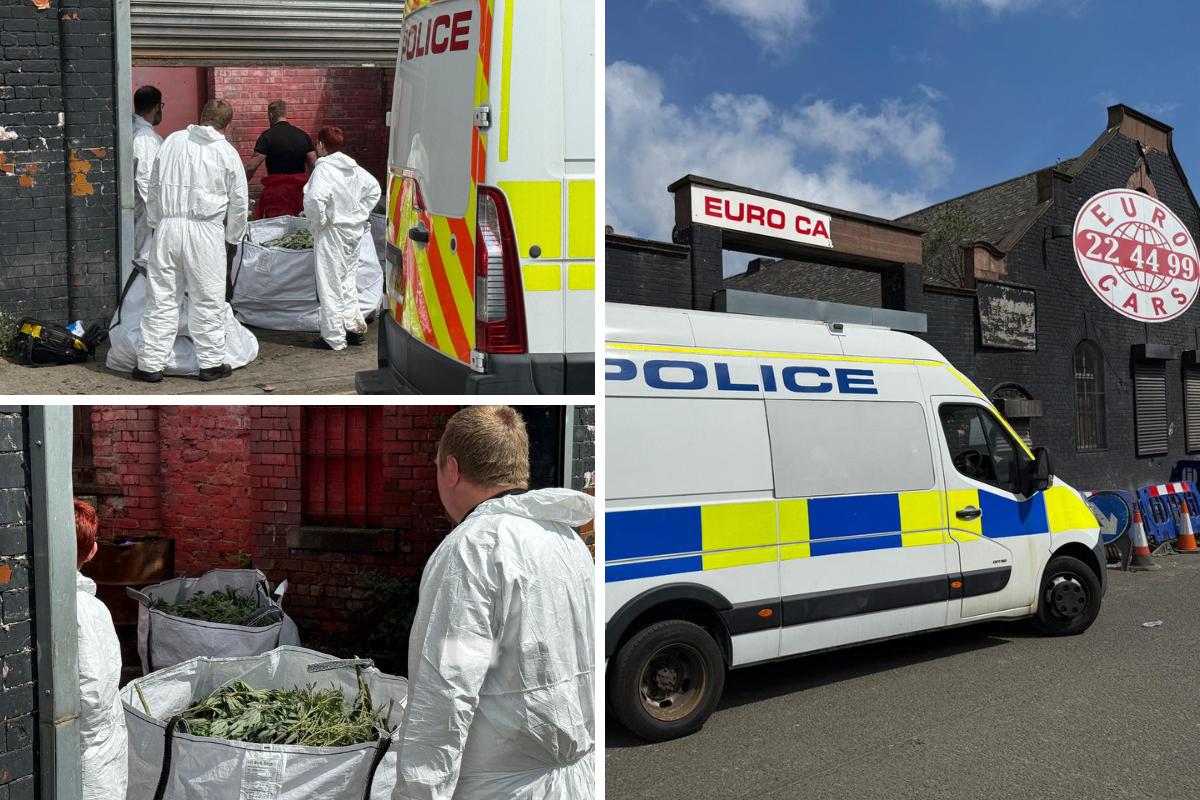 Man in court as police probe cannabis farm estimated to be worth £1.9m