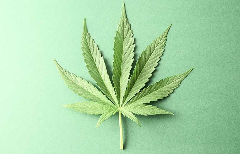 New bill would allow federal funding to go to cannabis research