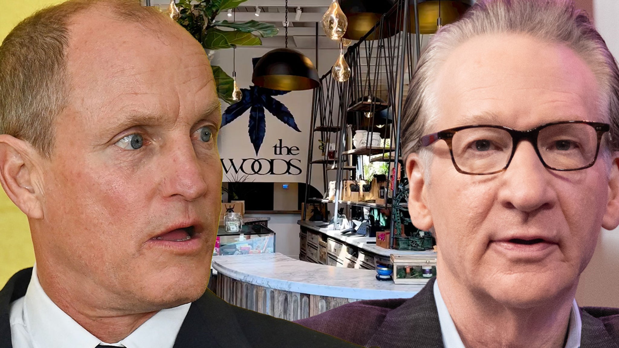 Weed Store Owned by Woody Harrelson, Bill Maher Burglarized, Video Shows