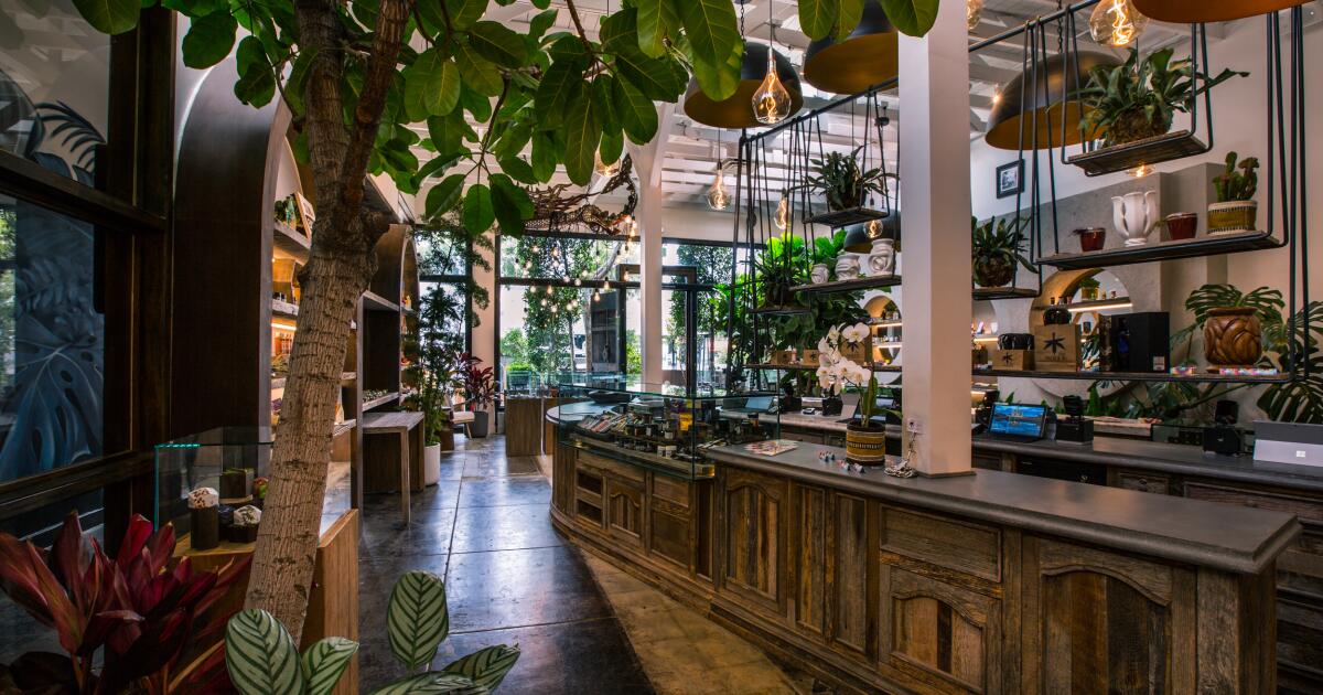 Burglars ransack Woody Harrelson and Bill Maher's WeHo weed dispensary