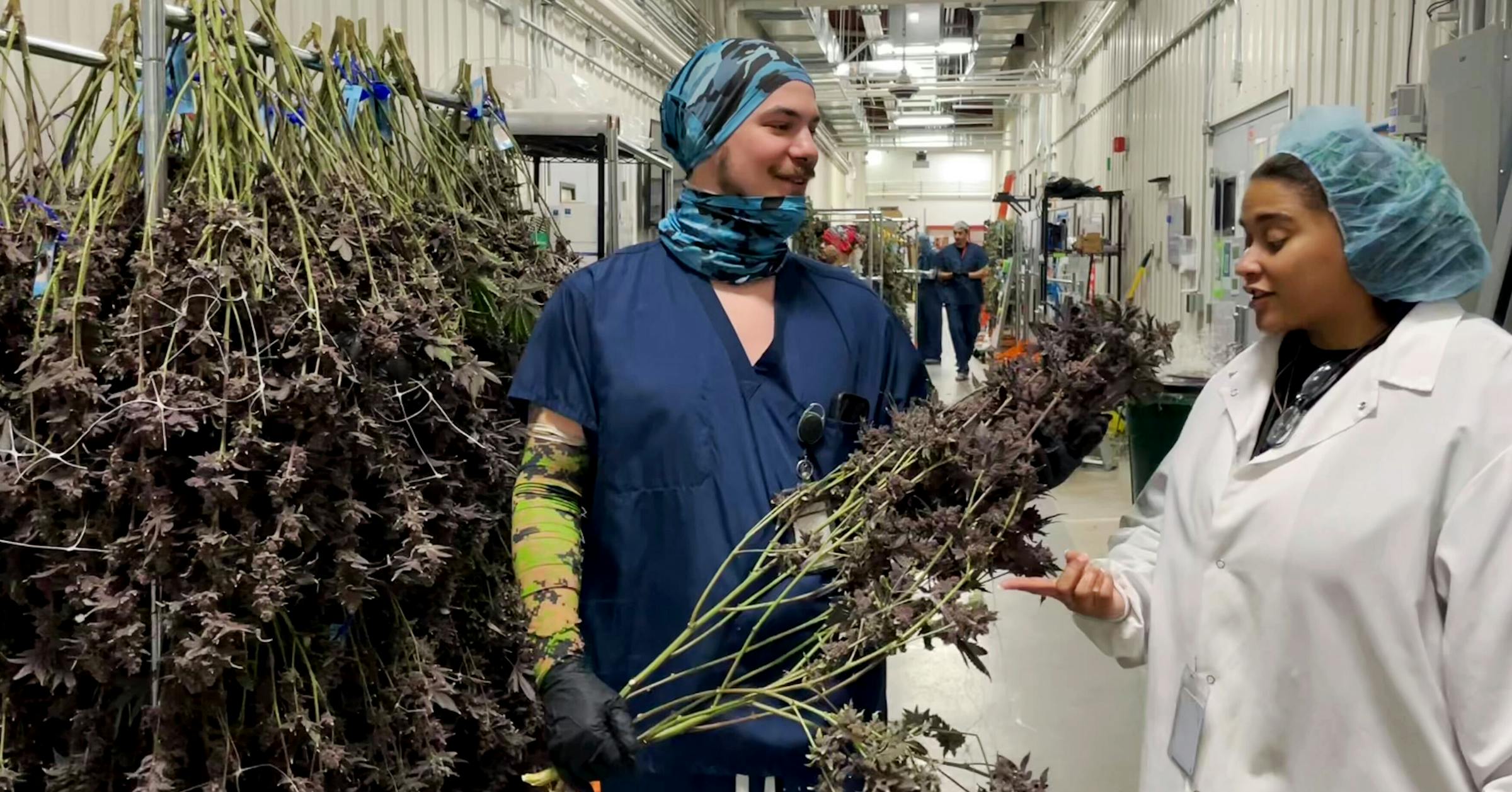 White Earth Band gets green light to open marijuana dispensaries off reservation