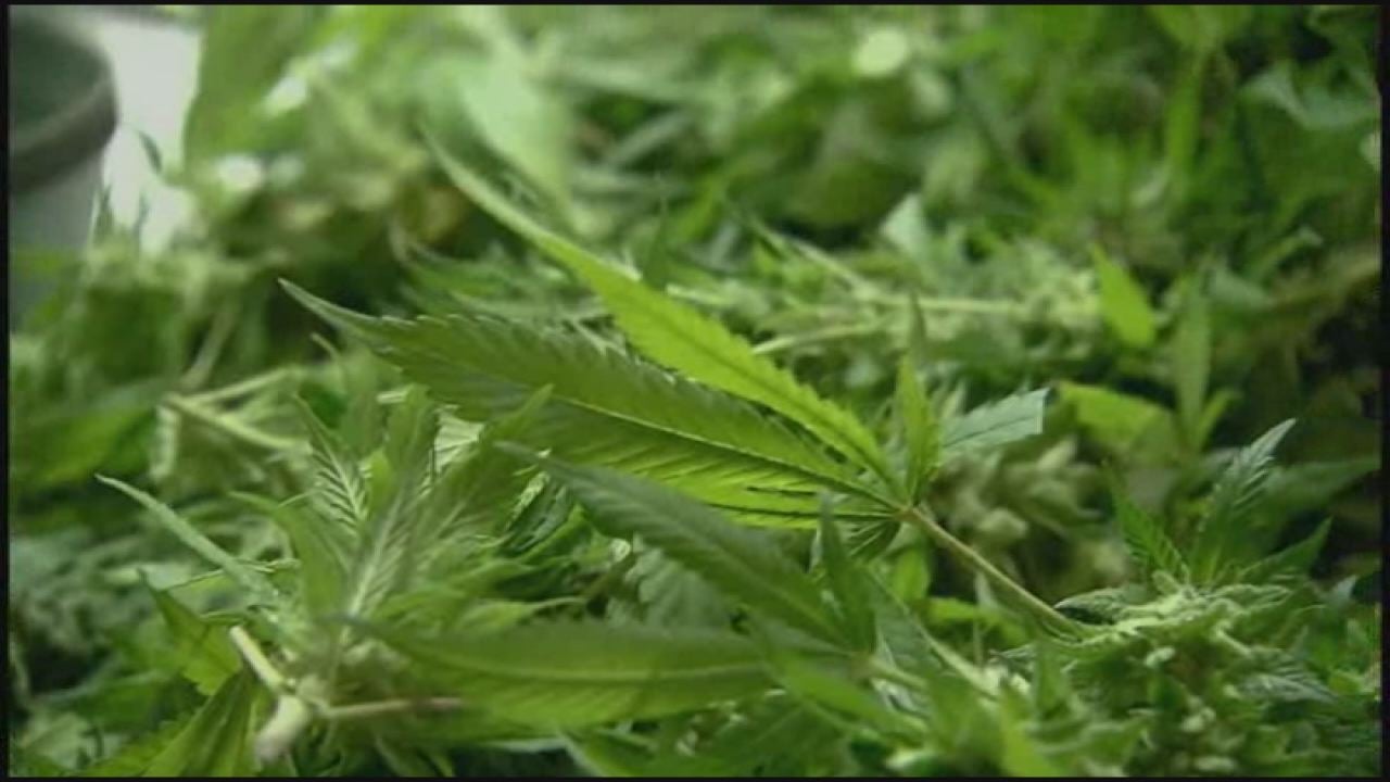 Off-reservation cannabis retail store to open in Moorhead soon