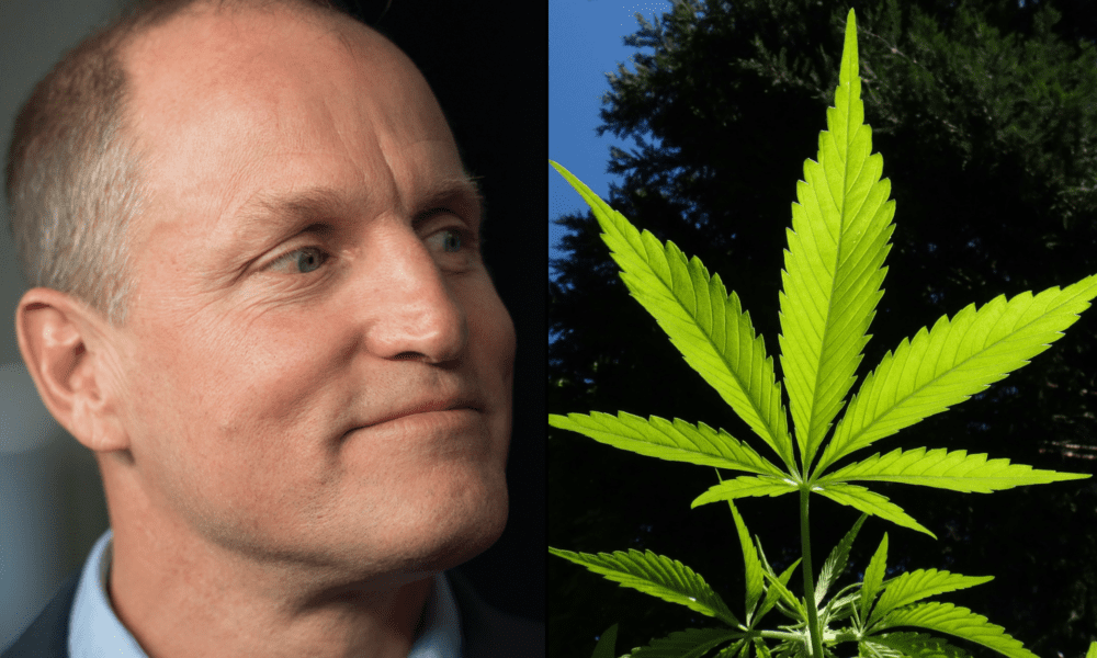 Bill Maher And Woody Harrelson's Marijuana Dispensary Was Burglarized