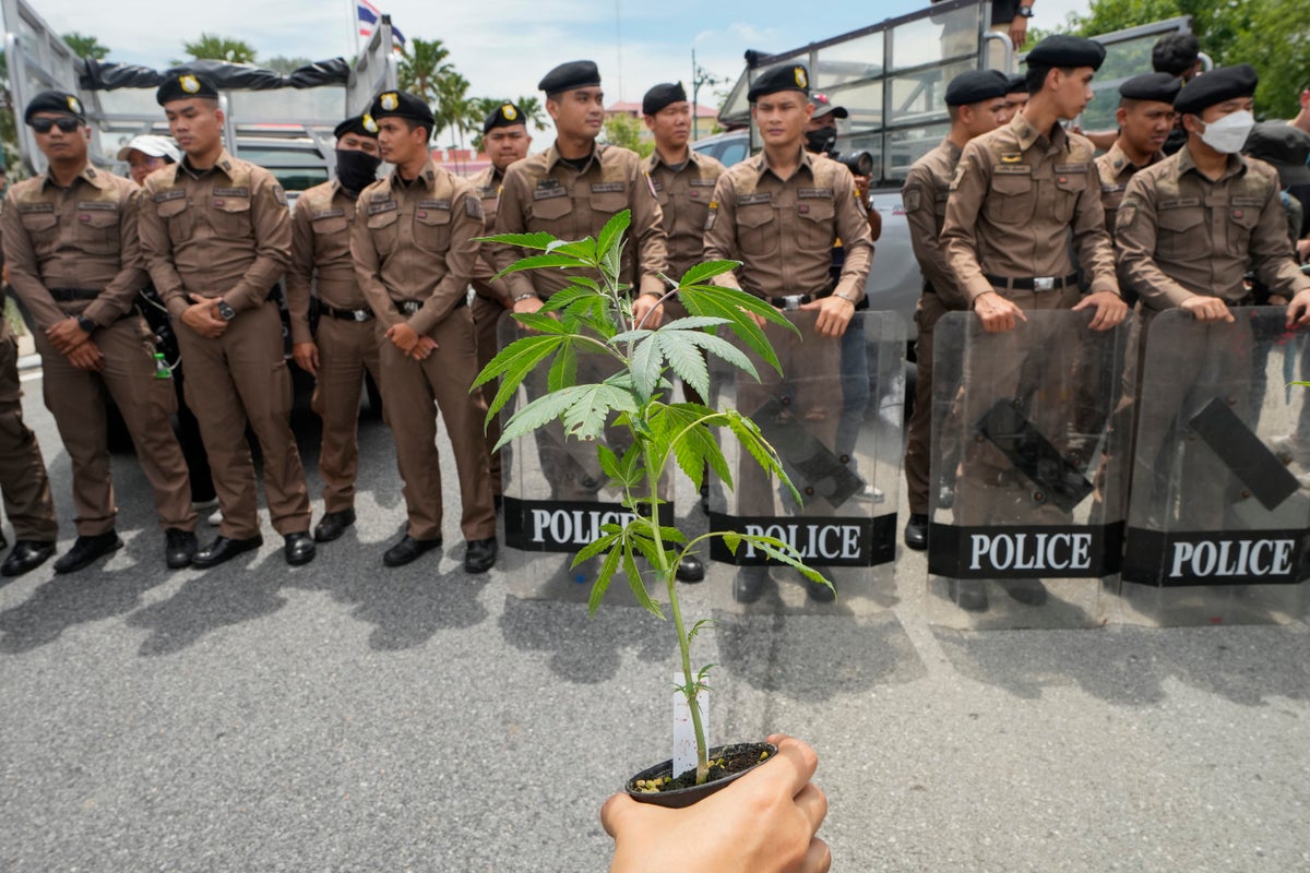 Thailand vows to tighten control on cannabis after smuggling cases involving tourists soar