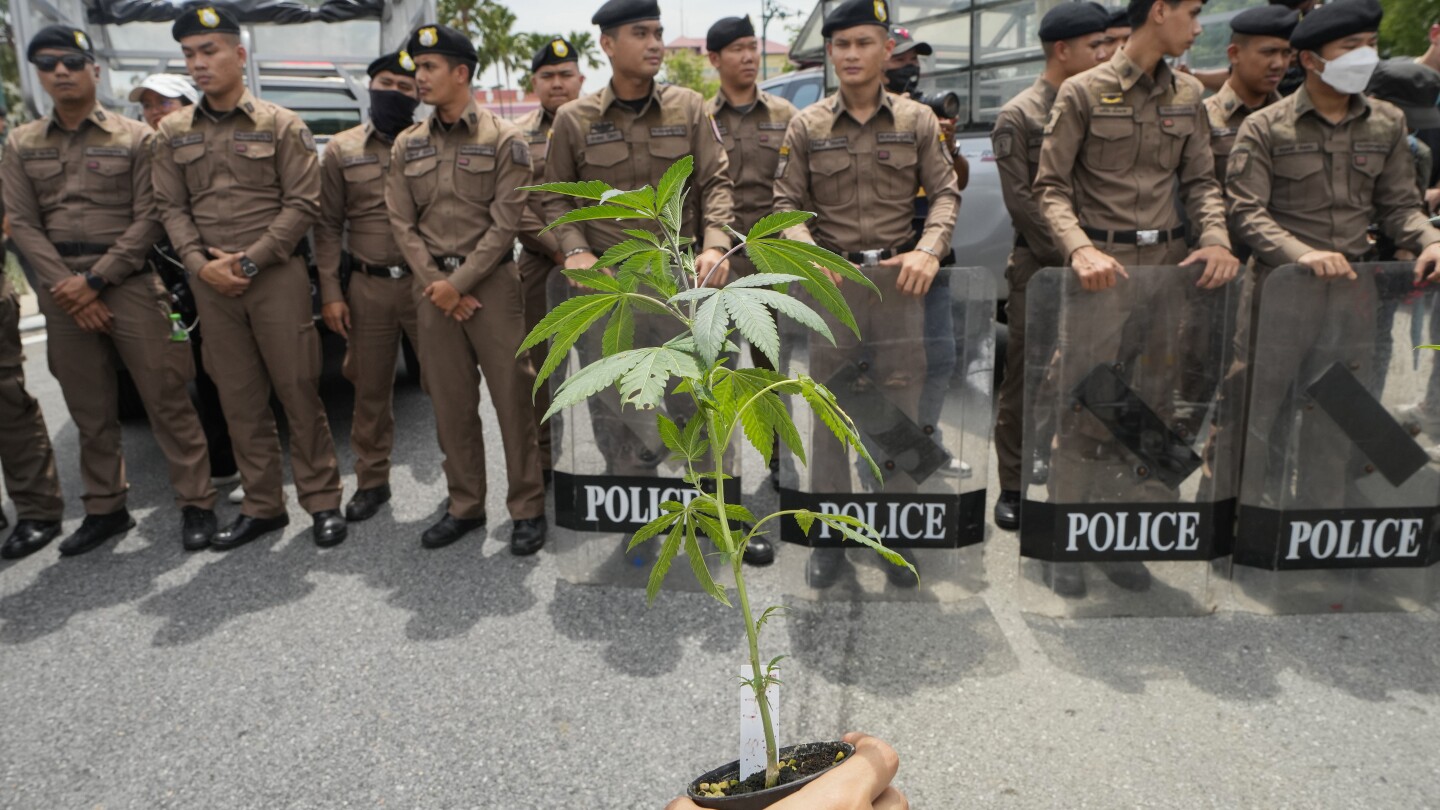 Thailand vows to tighten control on cannabis after smuggling cases involving tourists soar