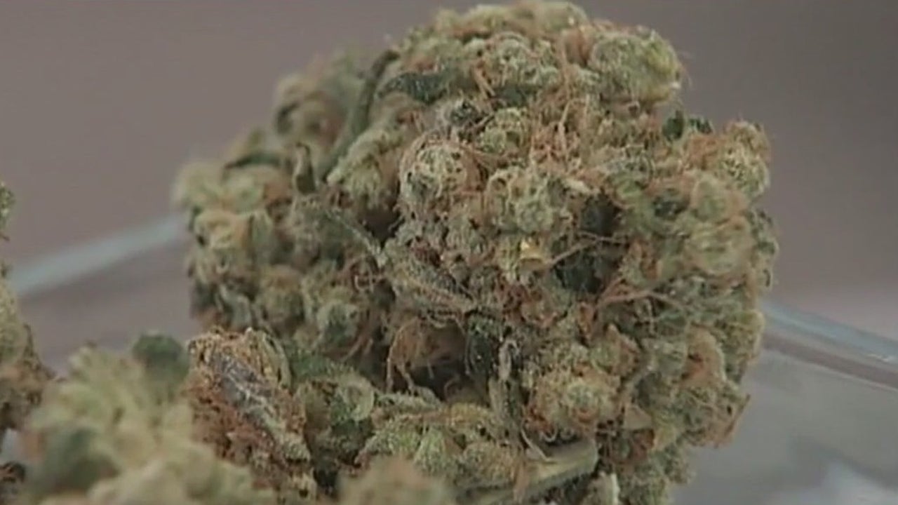 Woman charged with trying to smuggle 150 lbs of cannabis on SFO flight to Germany