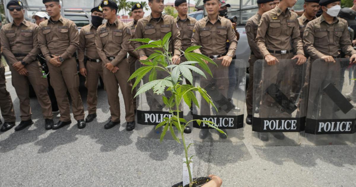 Thailand vows to tighten control on cannabis after smuggling cases involving tourists soar | World
