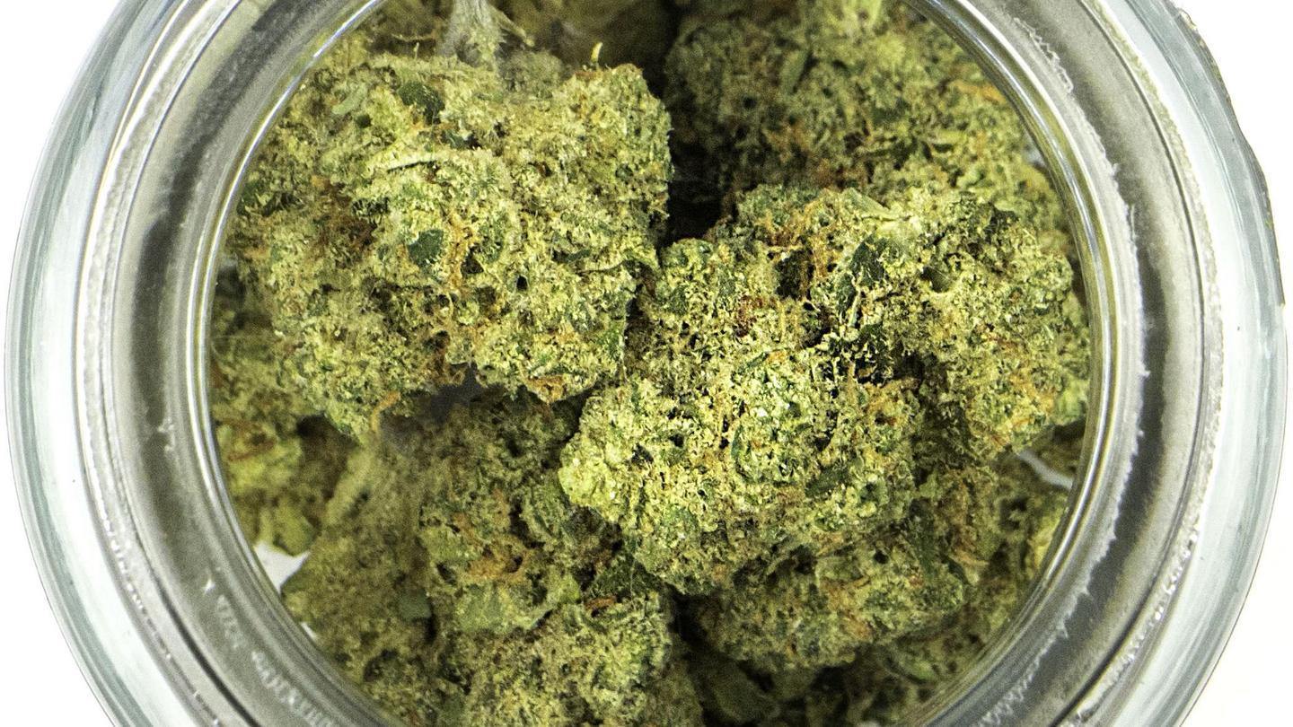 Best Cannabis Strains for Pain Relief