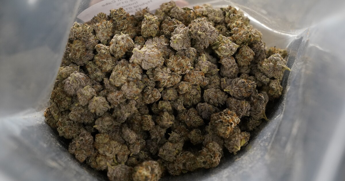 Utah medical cannabis patient count reaches 100,000 ahead of prescription pop-up ban