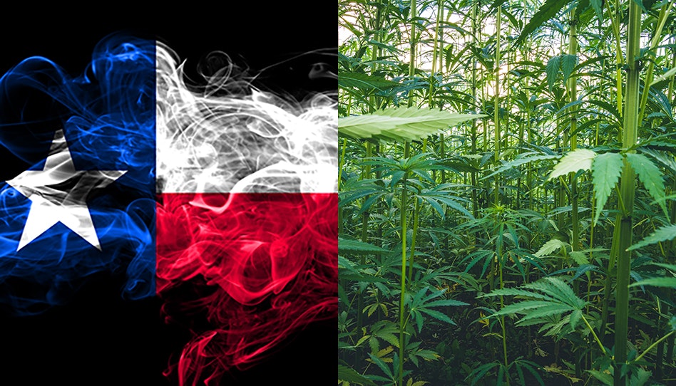 Game Over in Texas? House Approves Bill to Ban Intoxicating Hemp Products