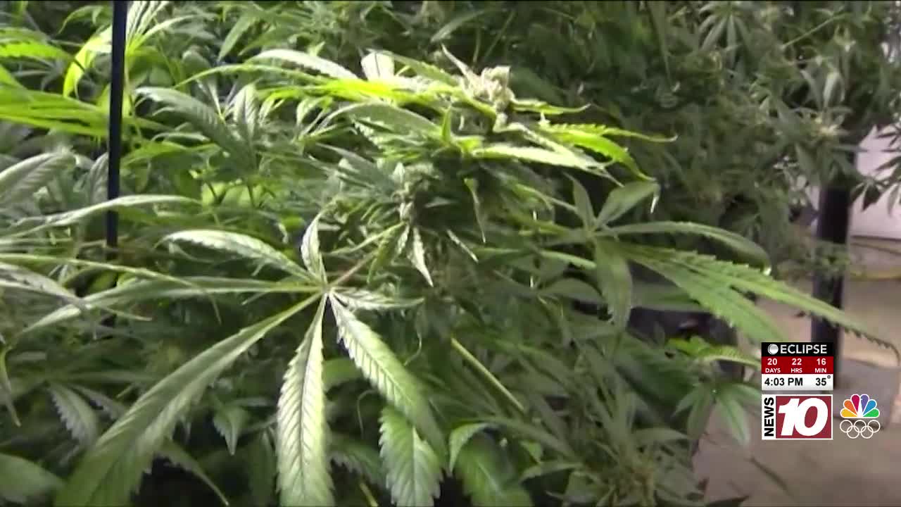 Rochester Public Library to host cannabis workforce development program
