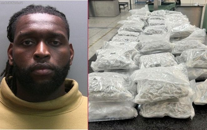 Former Arsenal striker pleads guilty to smuggling £600,000 of cannabis into Stansted