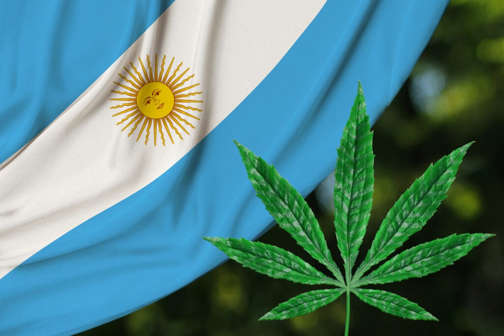 New Cannabis Regulations In Argentina: Patients Keep Rights, Growers Face New Limits