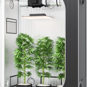 cannabis accessories growing