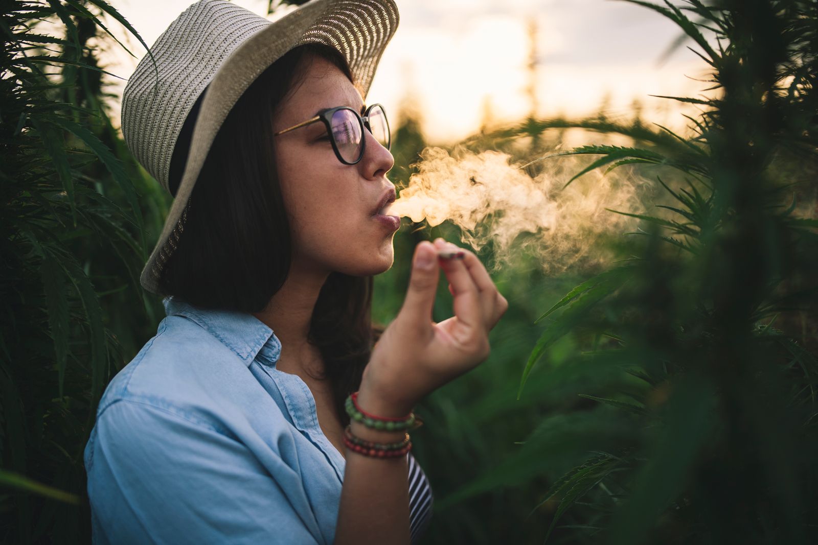 Recreational Marijuana | Procs, Cons, Arguments, & Controversy
