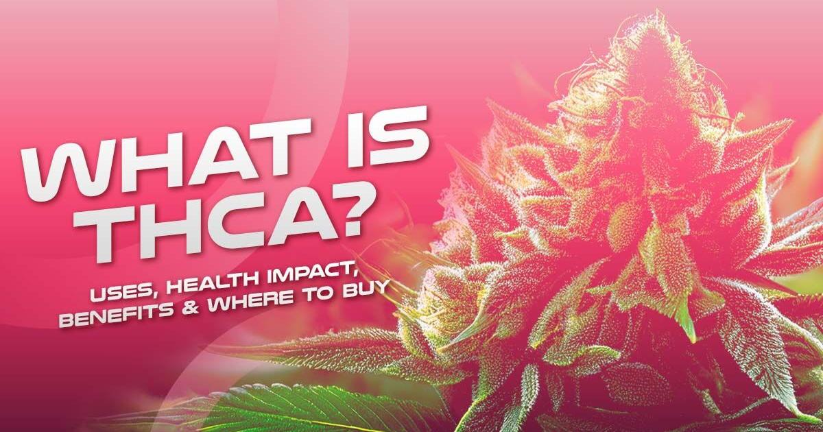 What is THCA? Uses, Health Impact, Benefits & Where to Buy | Cannabis