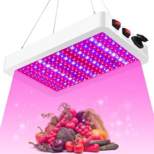 cannabis growing lights