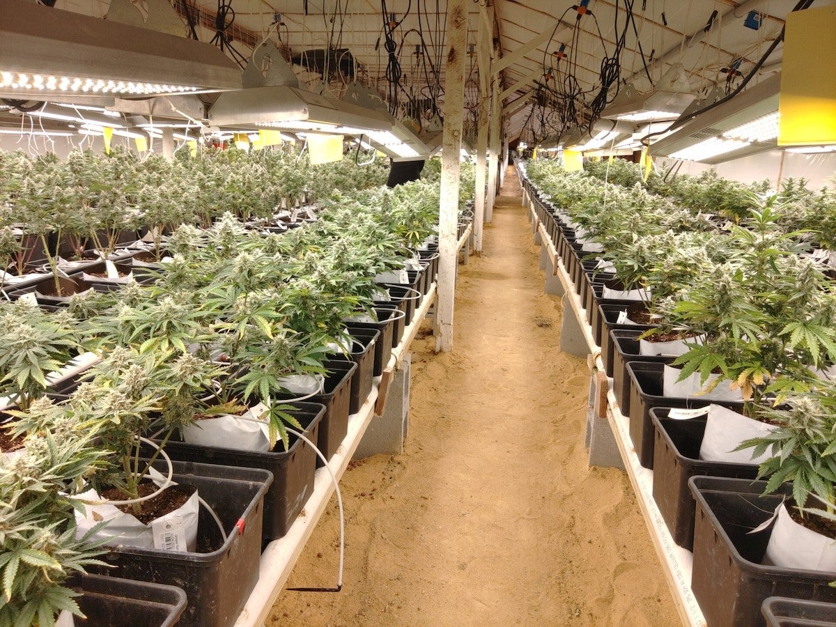 Delaware marijuana stores: 2 years post-legalization, no retail shops