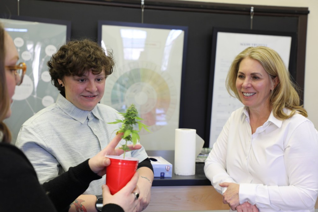 Pennsylvania Institute of Technology expands cannabis business studies