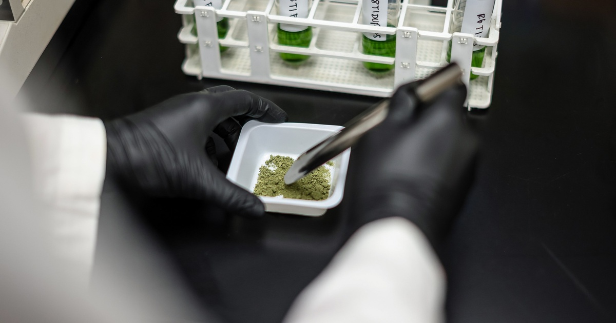 Texas set to expand medical marijuana program eligibility