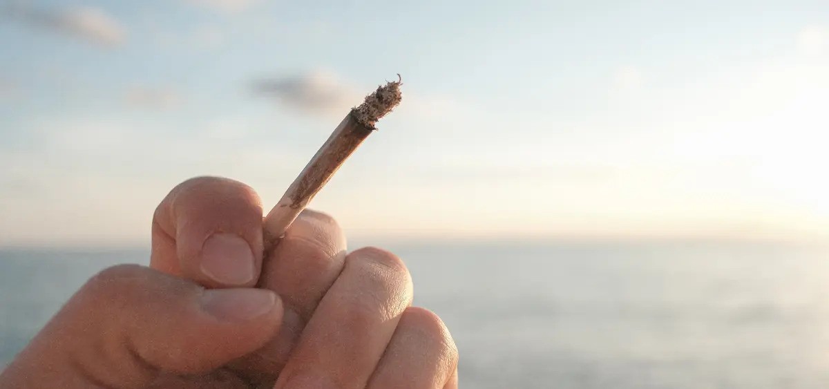 Study: Cannabis Legalization Associated With Reduced Prescription Drug Claims