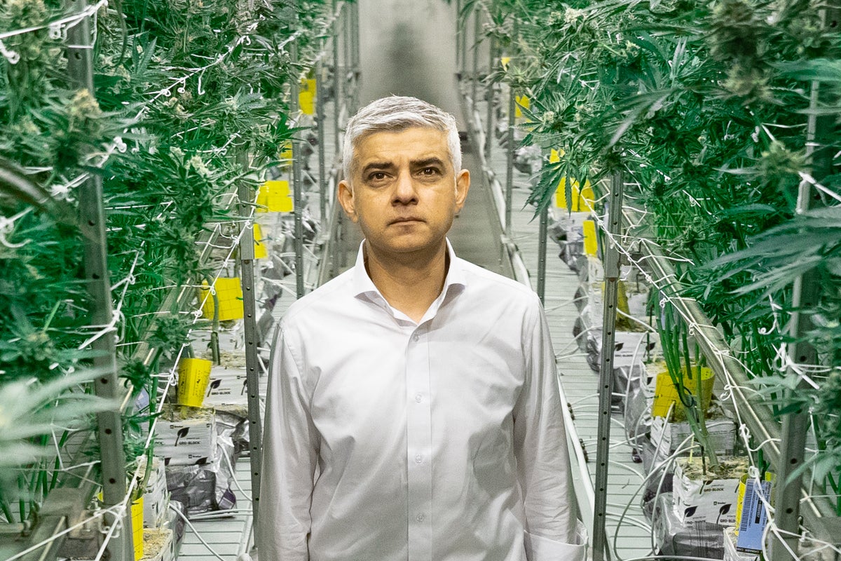 What is Sadiq Khan really up to with his call to decriminalise cannabis?