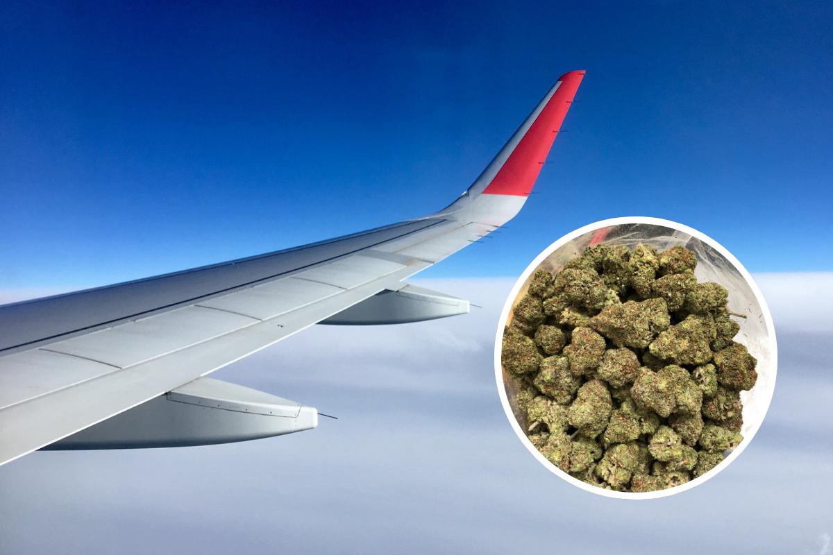 Jailed: Pair from Essex tried to smuggle £592k of cannabis on transatlantic flight <i>(Image: Pixabay / Canva)</i>