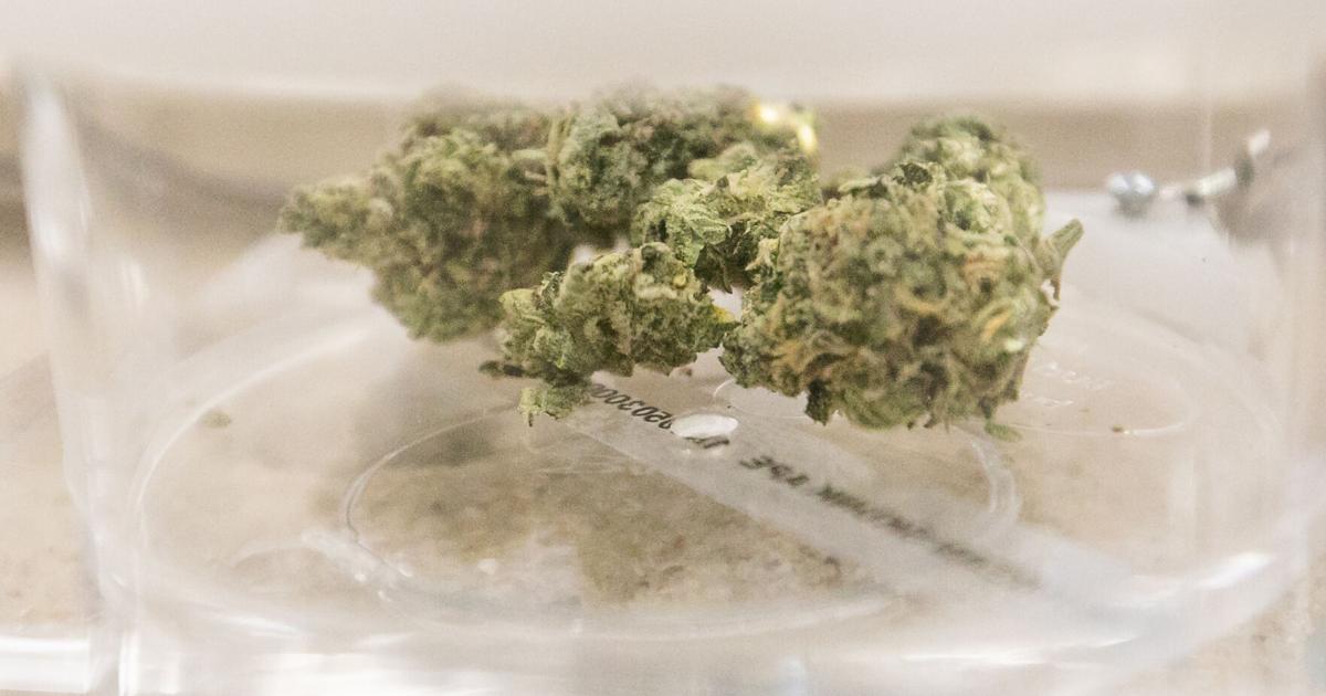 CANNABIS TAXES: County eyes new rules for dispersing funds | Local News