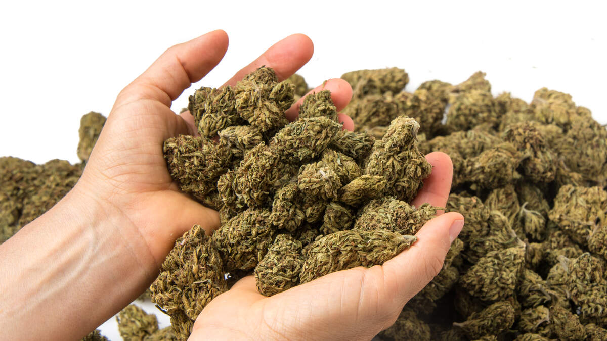 Cannabis Use Linked to Heart Risks, New Study Finds | KFI AM 640