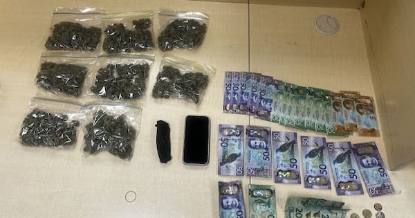 Driver pulled over for phone use leads to cannabis bust