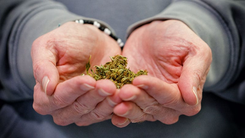 One Third of Older Veterans Who Use Cannabis Have CUD