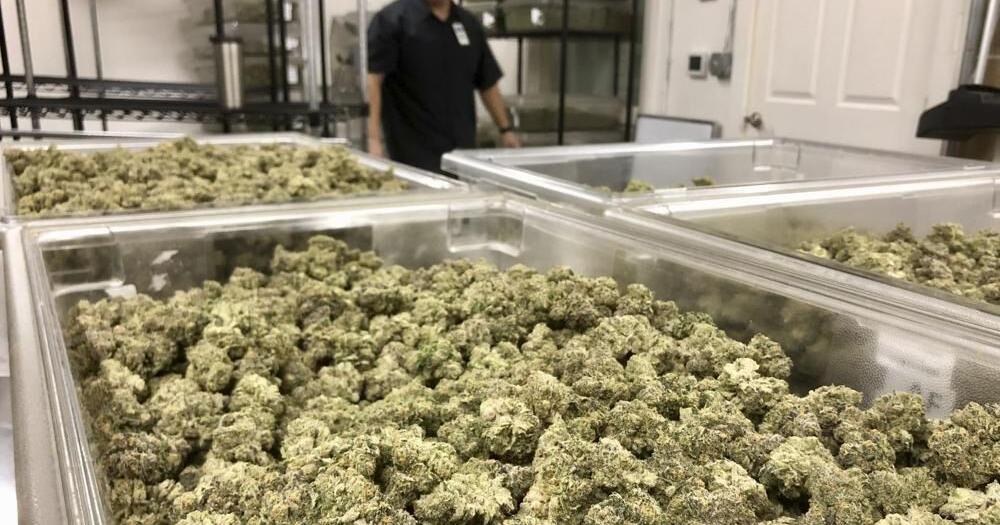 Kentucky breaks ground on state's first medical cannabis safety compliance facility | Local News