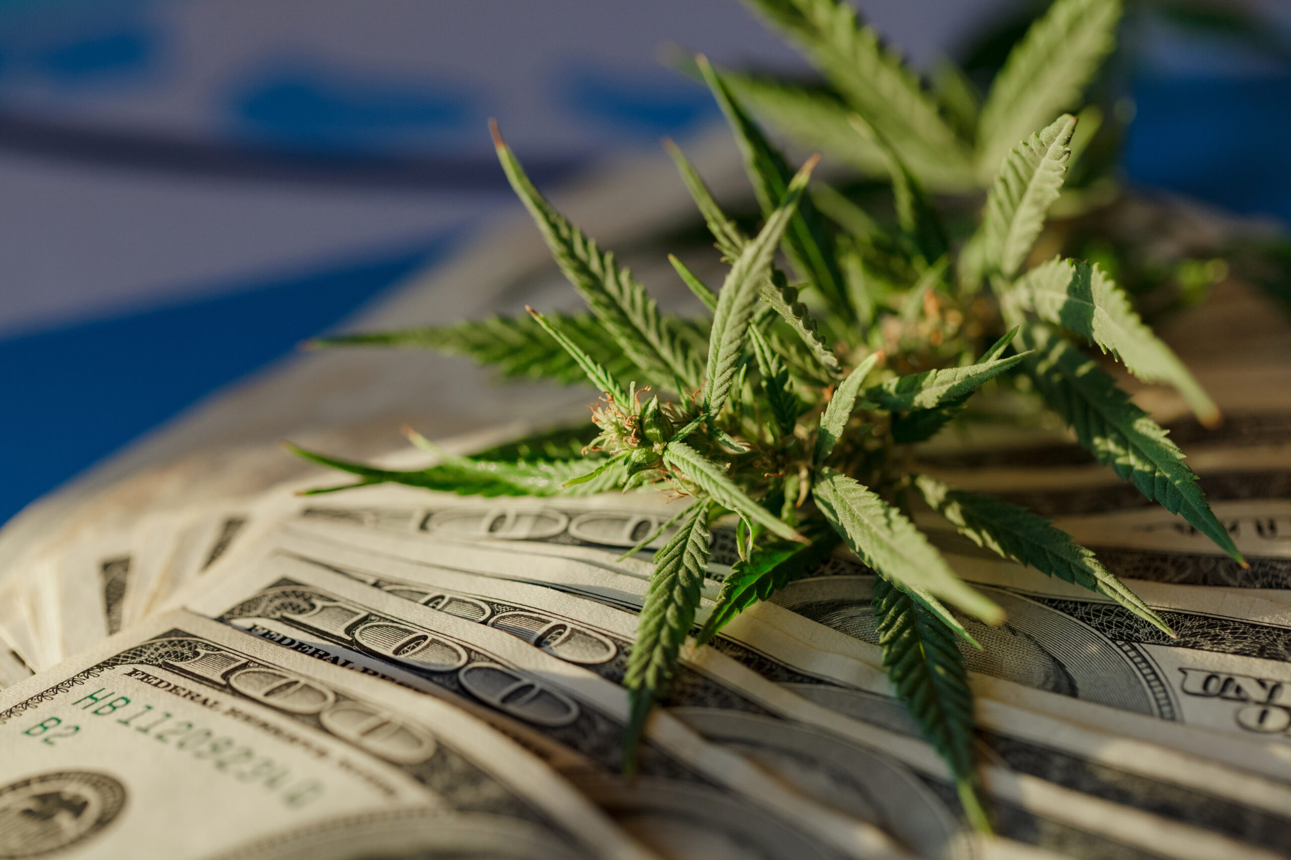 D.C. cannabis tax revenue soars but unlikely to trickle down to equity fund