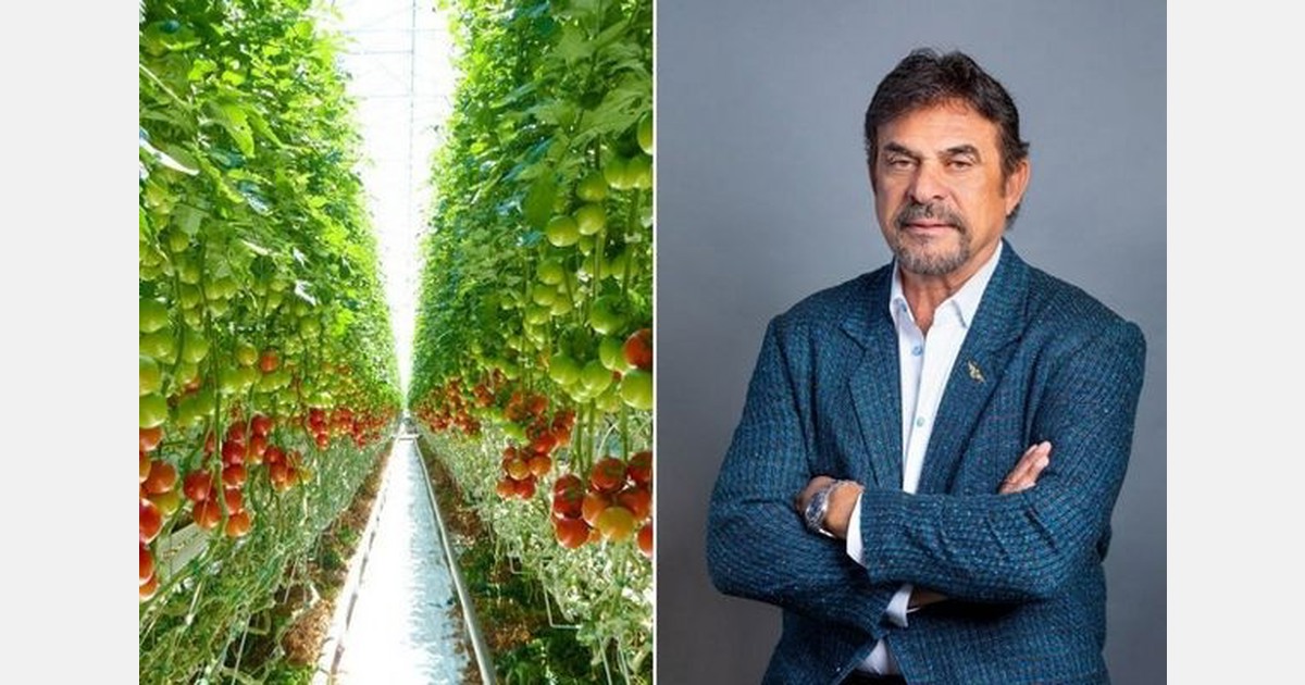 Village Farms closes produce deal, goes all-in on cannabis