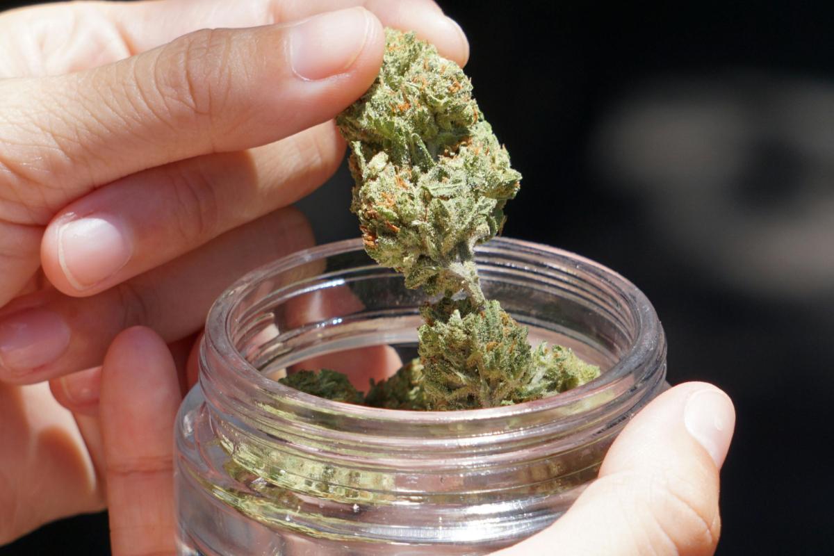 Man arrested after police seize ‘substantial amount of cannabis’