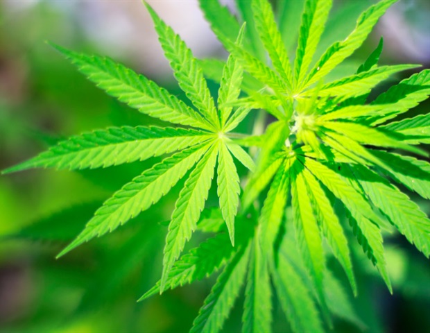 Cannabis retailers found to be more concentrated in disadvantaged neighborhoods