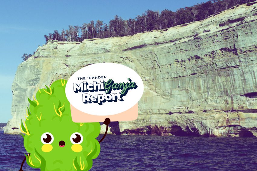 6 quick hits of cannabis news from across Michigan